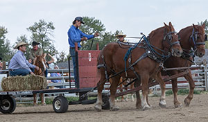 Bar U Chore Horse competition