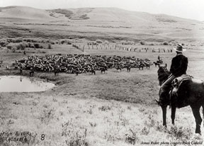 Jonus Rider - Bar U Ranch National Historic Site - click to enlarge