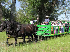 School Programs offered at the Bar U Ranch